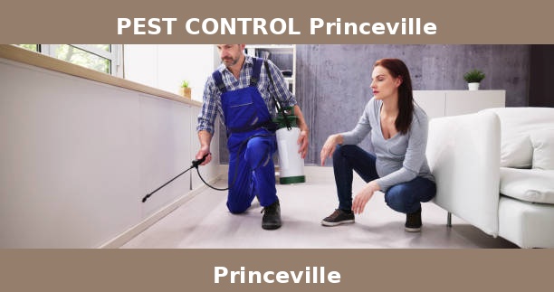 PEST CONTROL Princeville